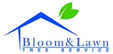 Tree services in the San Francisco Bay Area